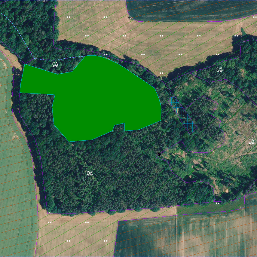 Startseite Geobasisinformation sachsen.de