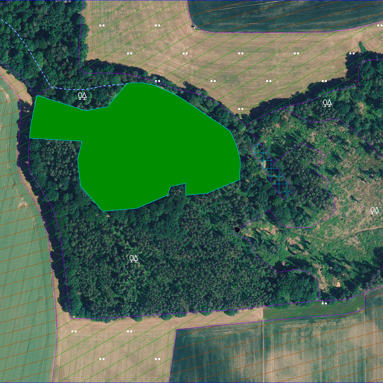 Screenshot Testdaten Erfassung der Waldverjüngungsflächen