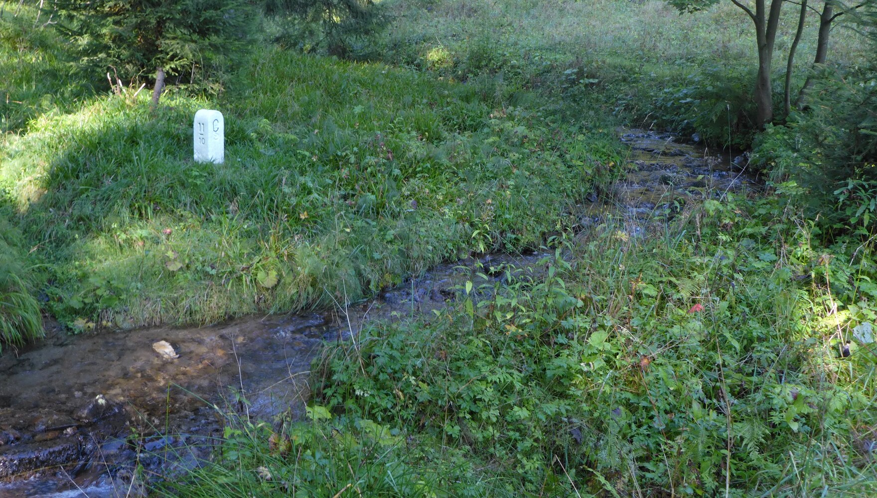  indirekter Zwischenstein 11-10 C im GA XVI am Grenzwasserlauf