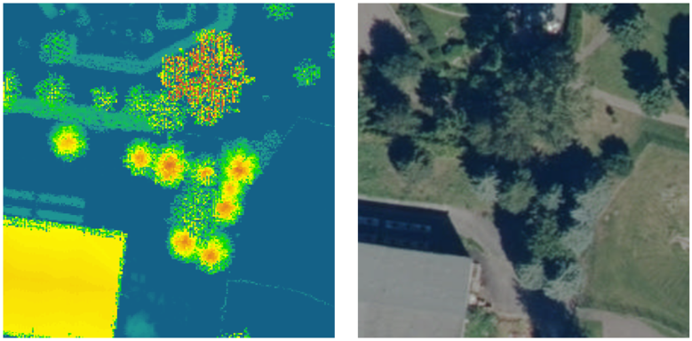 Unterscheidung von Laub- und Nadelbäumen im nDOM (links) bzw. DOP (rechts)